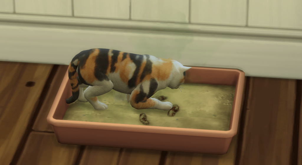 screenshot 2025 12 13 015445