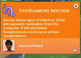 screenshot 2025 12 13 020326